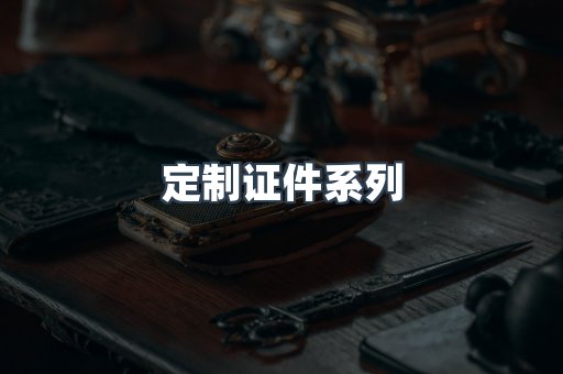 定制证件系列